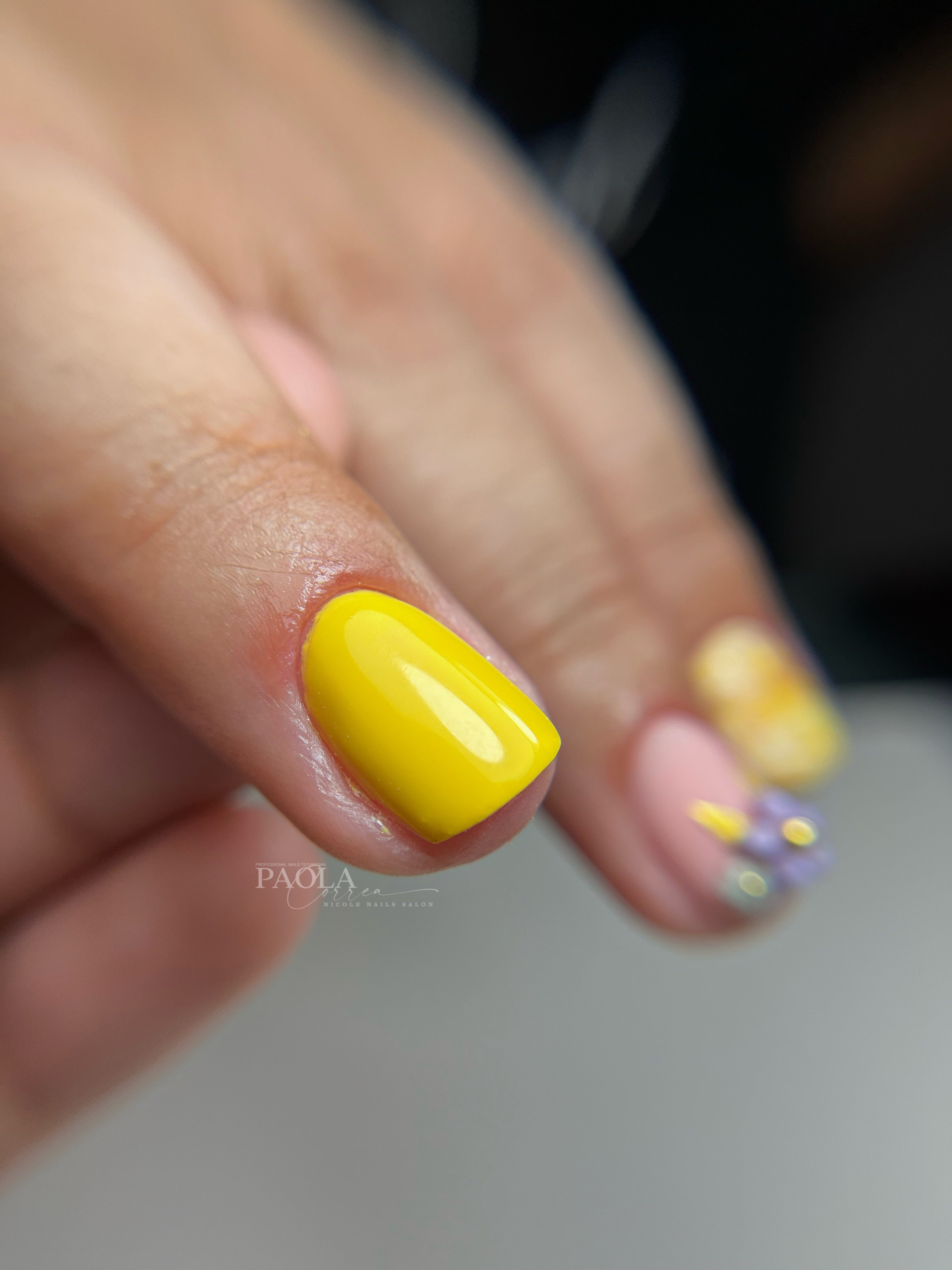 Seminario Manicura Rusa