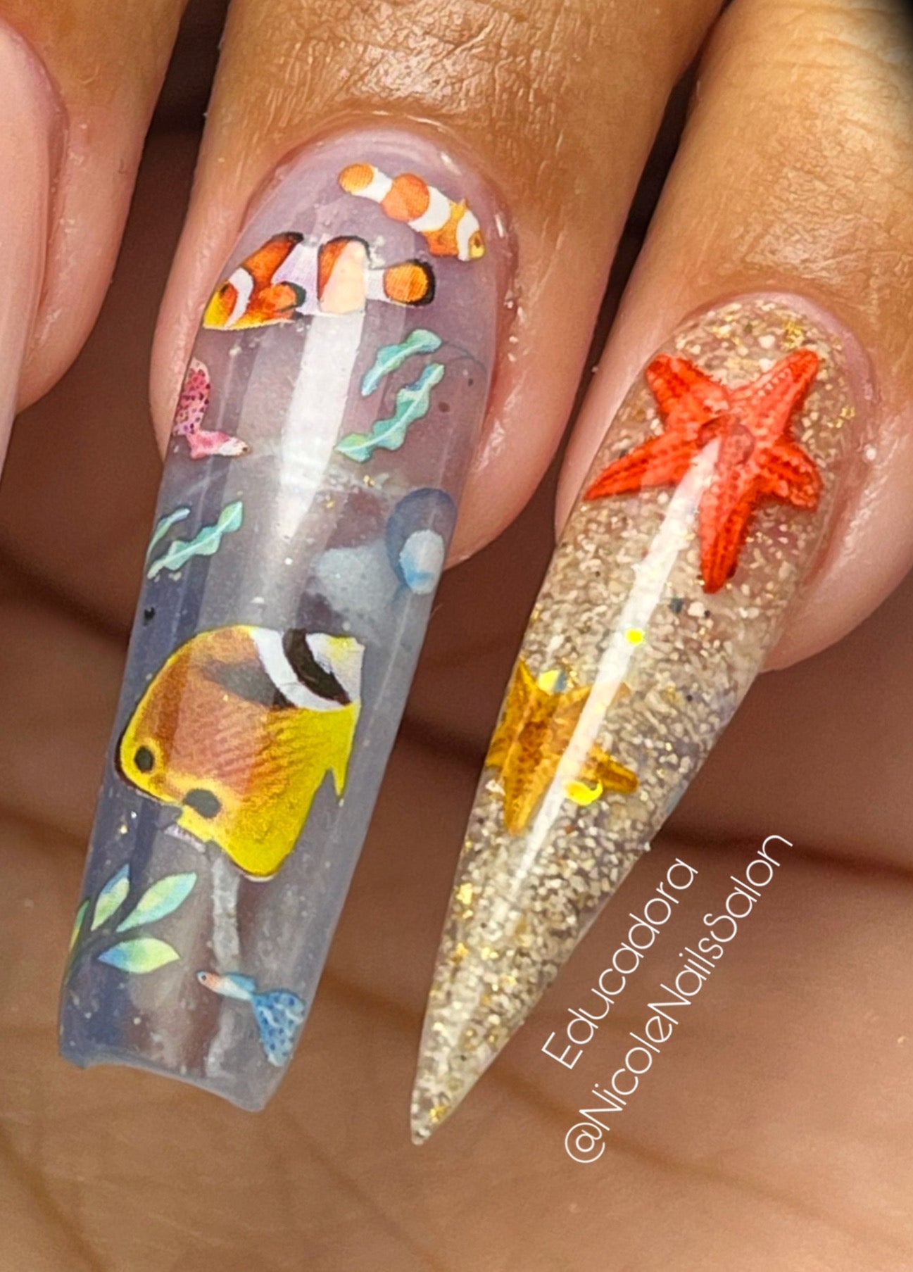 Estrellas de mar