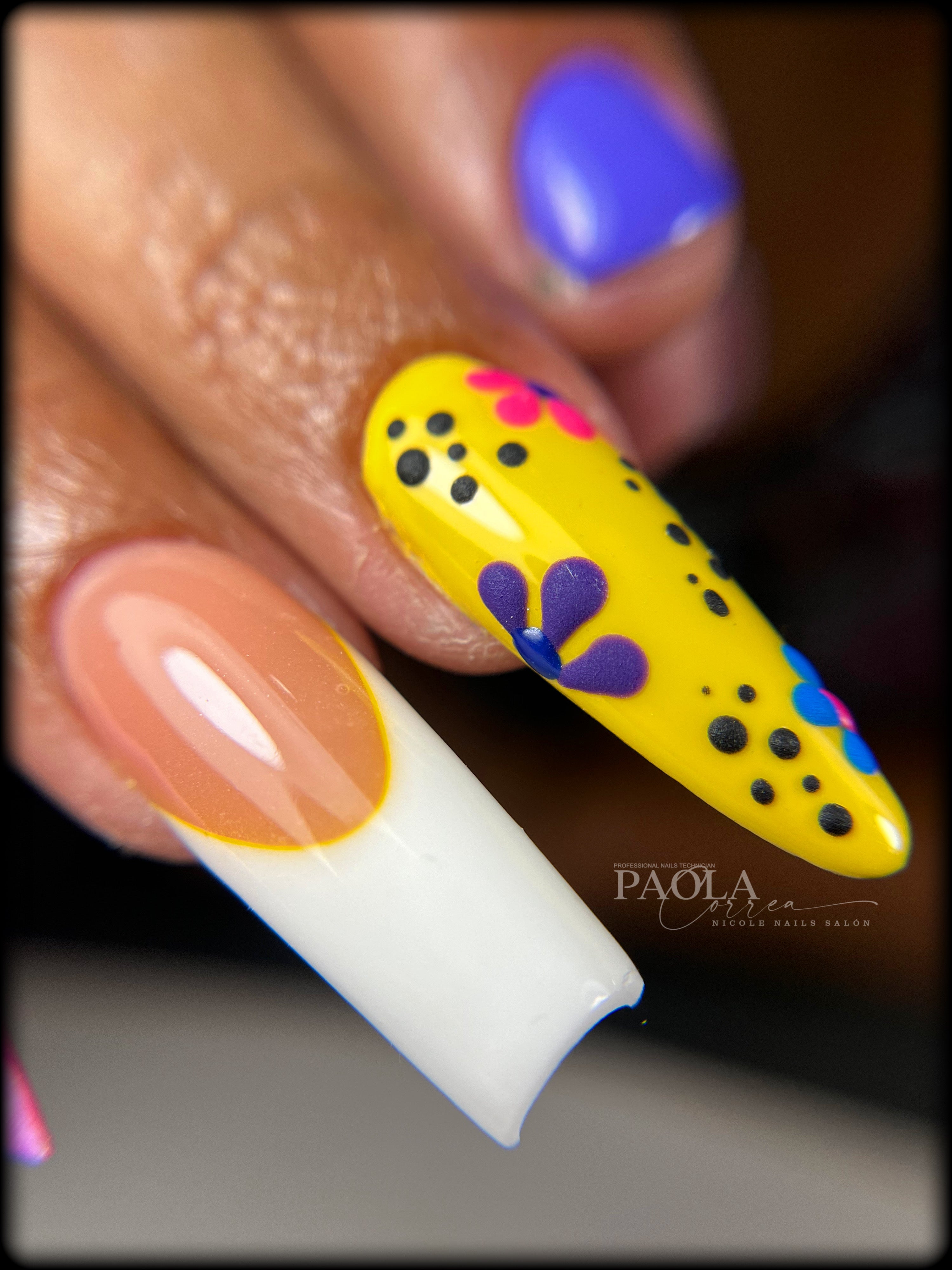 5 pinceles liners