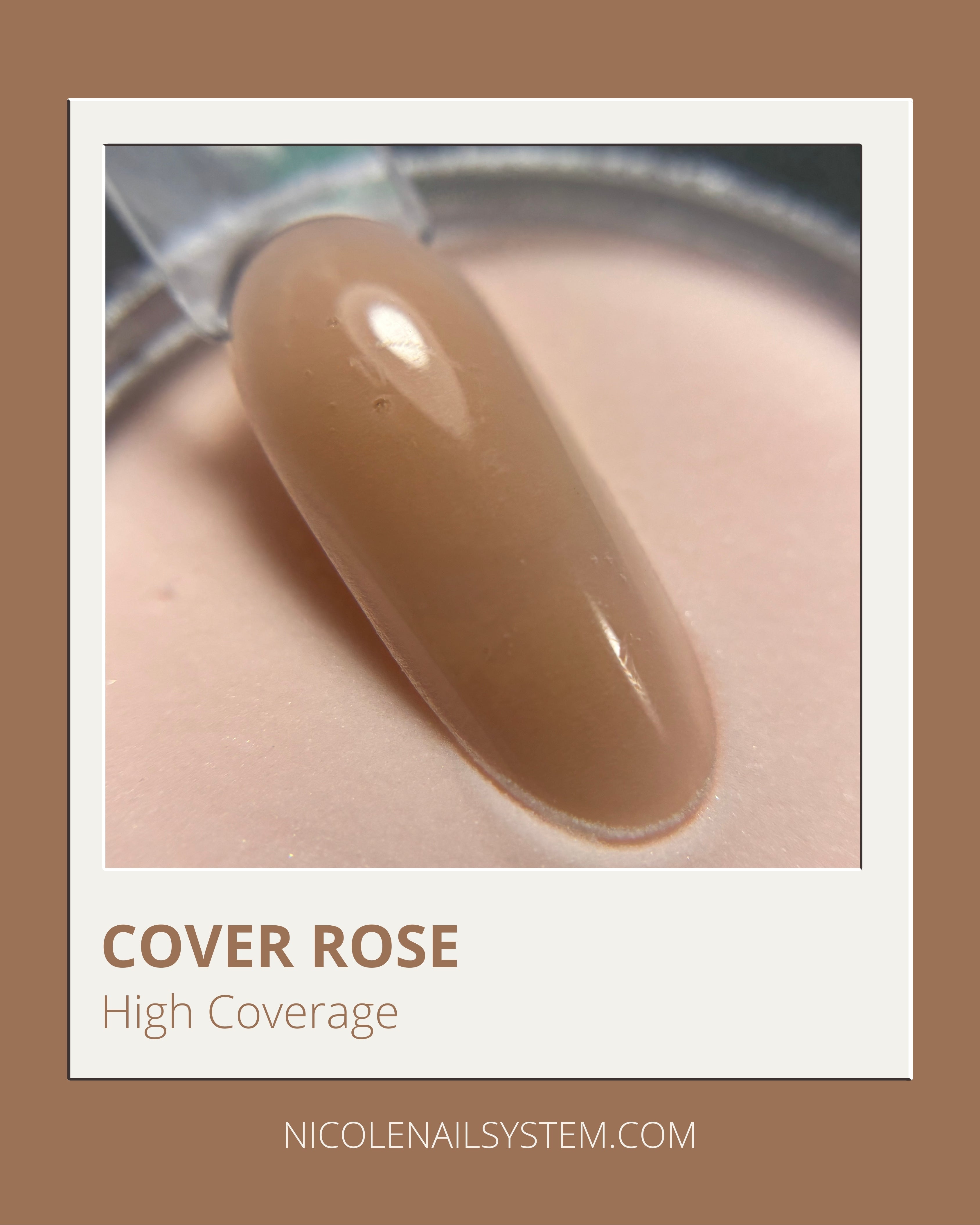 COVER ROSE