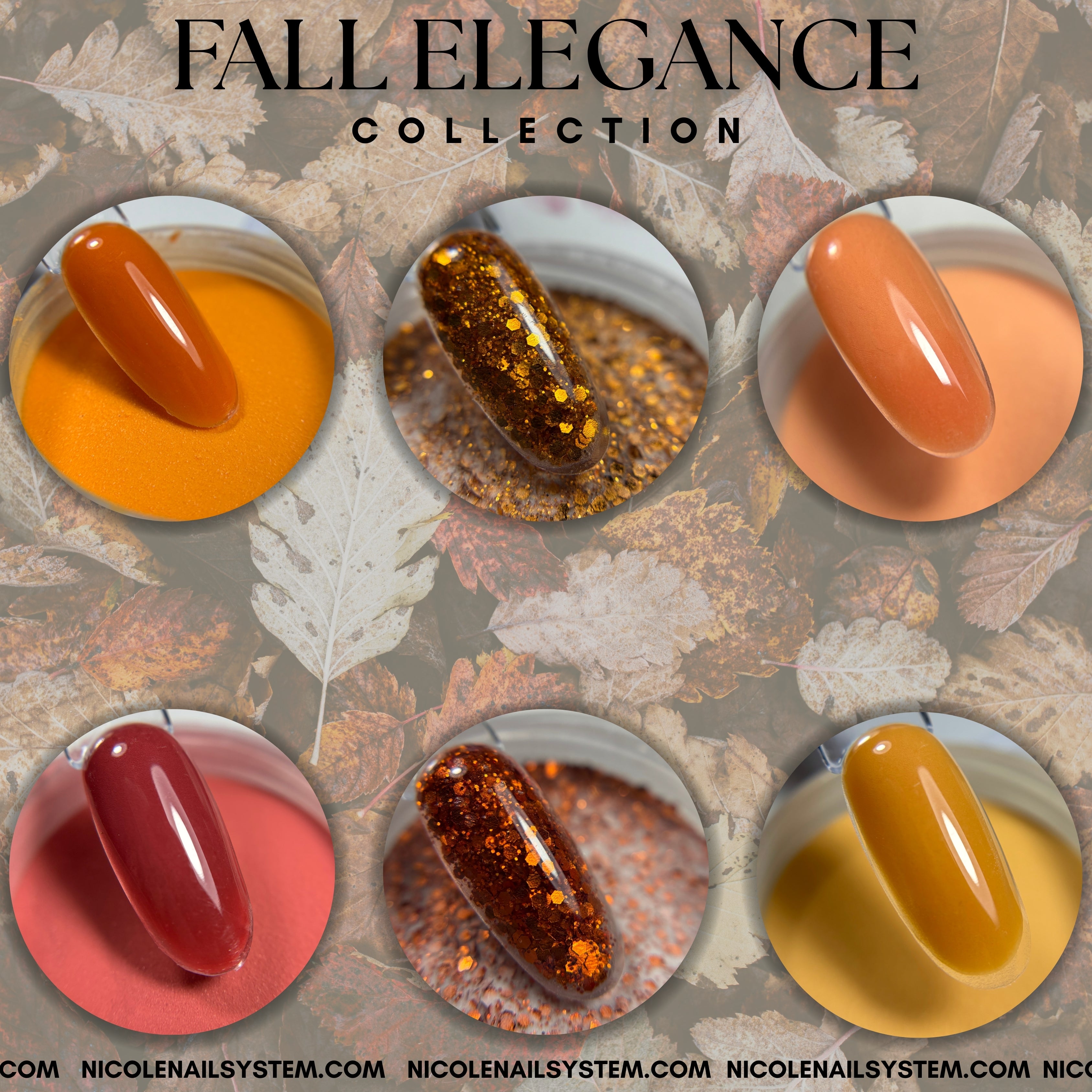 Fall Elegance Collection