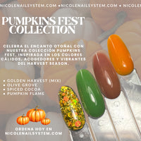 PUMPKINS FEST COLLECTION