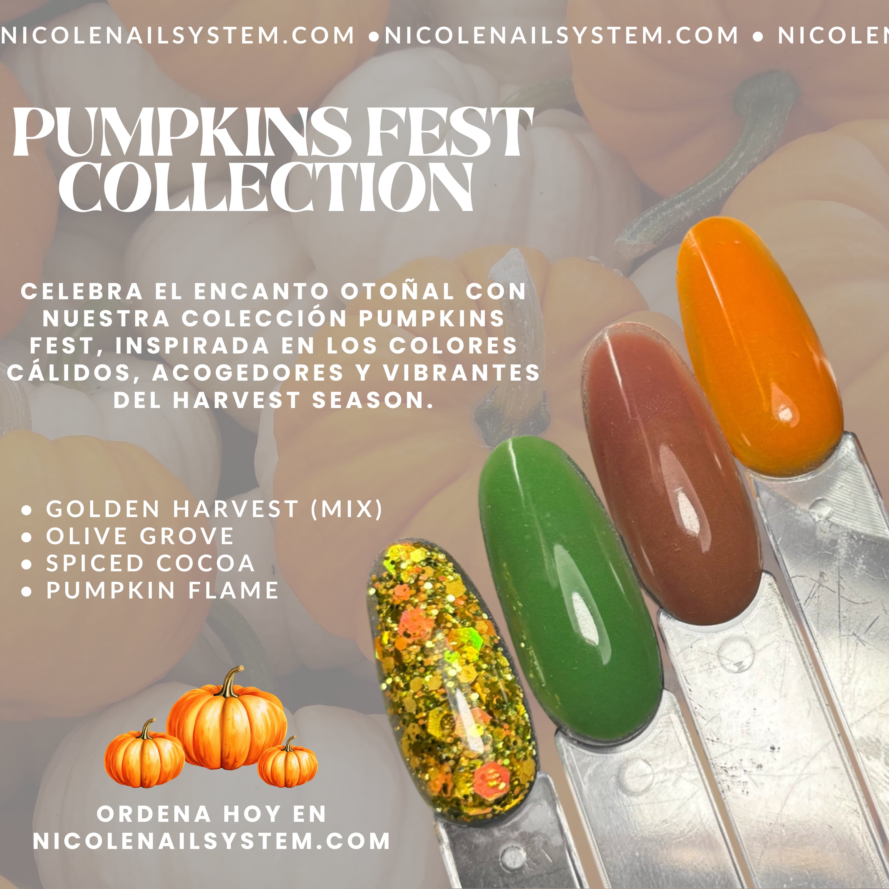 PUMPKINS FEST COLLECTION