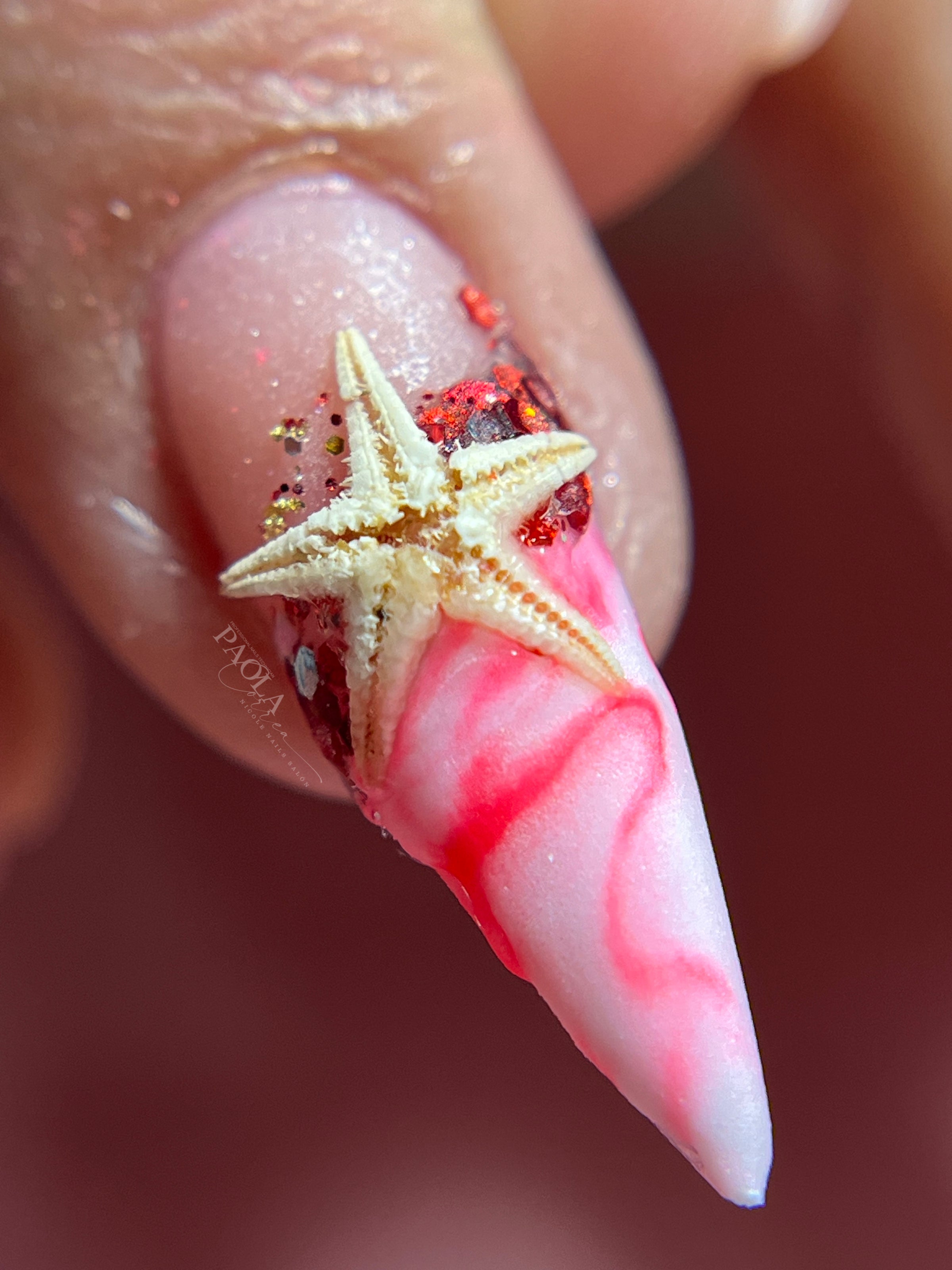 Estrellas de mar