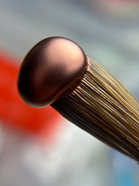 Colección Metálica