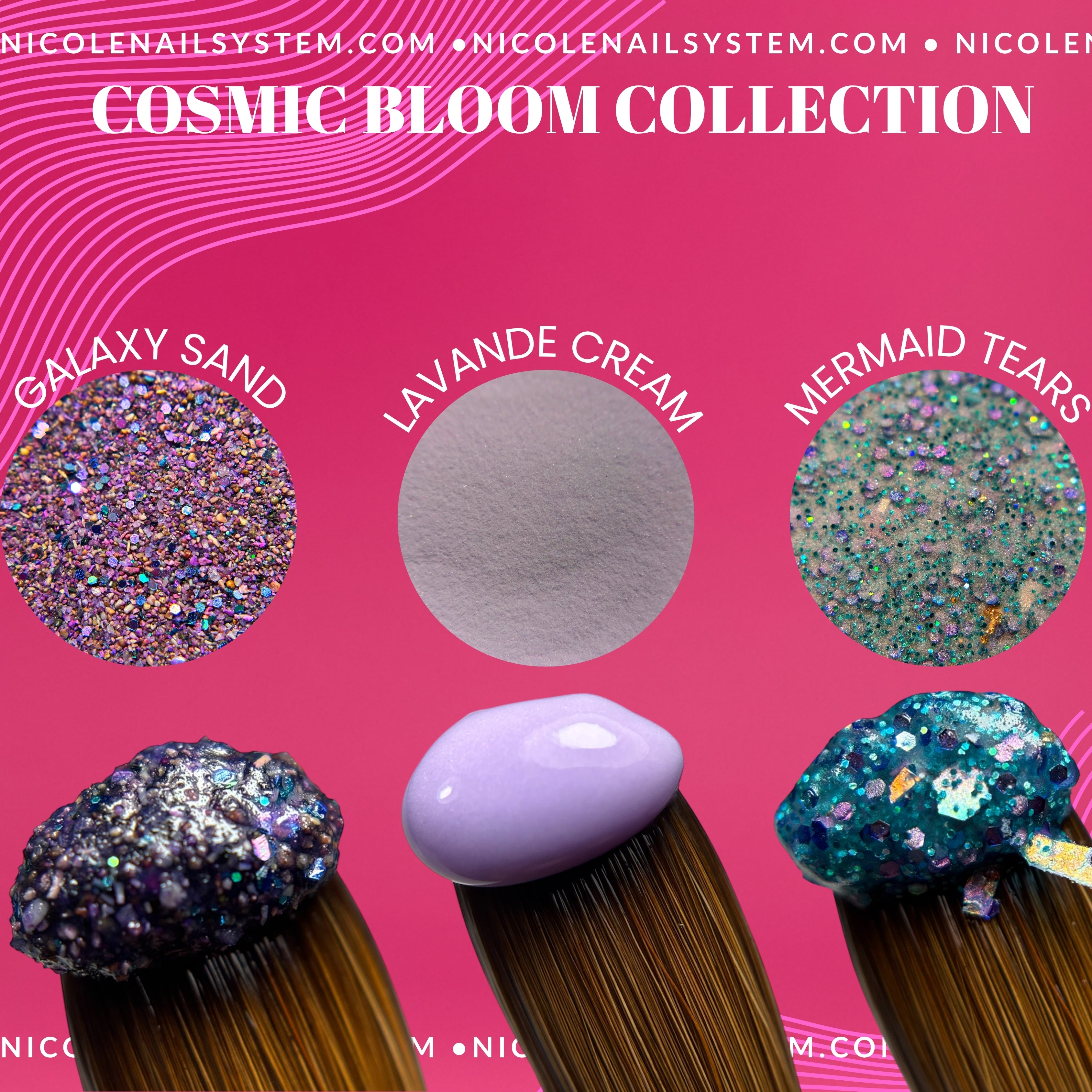 COSMIC BLOOM COLLECTION